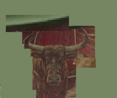 Ayuda descripción identificación de este toro por sus características.jpg