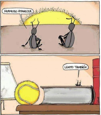 perspectiva hormigas amanecer.jpg