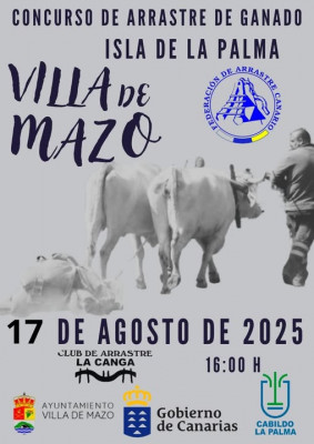 villa de mazo Arrastre canario.jpg