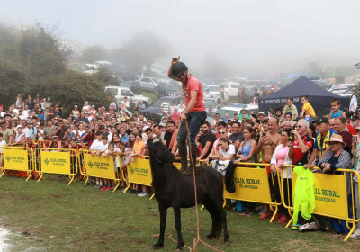 caballo asturcon exhibición de doma.jpg