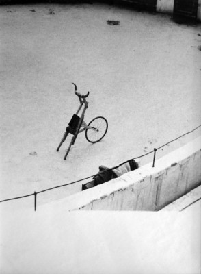 Carro de pitones Leopoldo Pomés.jpeg