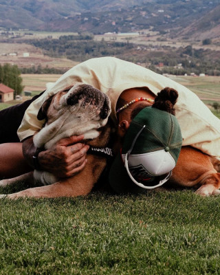 Lewis Hamilton llora por su perro.jpg