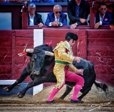 Morante Quite vaso en mano.jpg