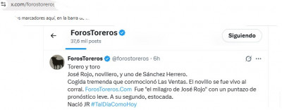 torero y toro José Rojo.jpg