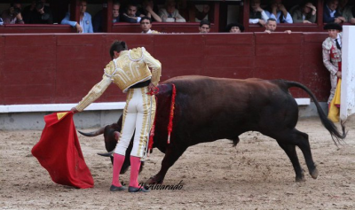 J Alvarado fotografía taurina.png