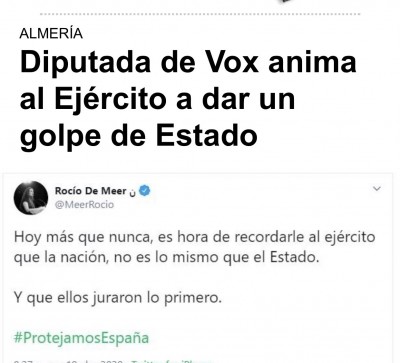 diputada de vox tuit ejército.jpg