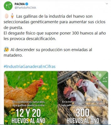 pacma gallinas huevos.JPG