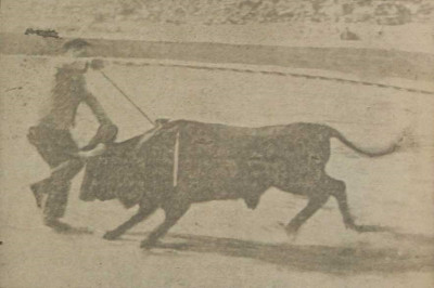 K-Hito Entrando a matar a un toro.jpg