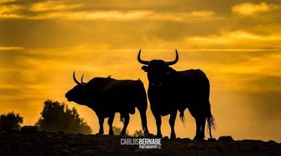 2 Fotografía está en directorio fotografia mes mayo.jpg