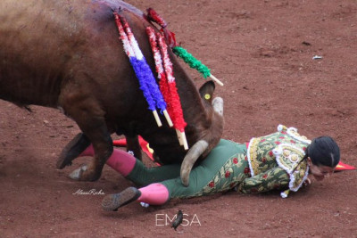 Cogida y cornada a Miriam Cabas.jpg