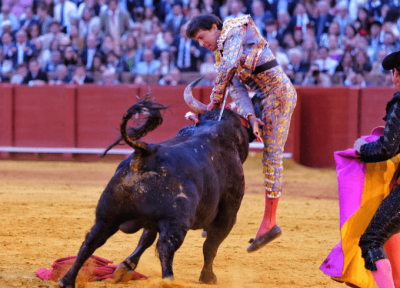 Roca Rey momento cogida.png