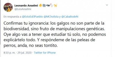 Leonardo Anselmi galgos toros insultos.JPG