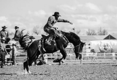 Rodeo b n hombre y caballo.jpg