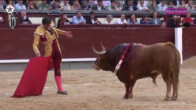Fortes segundo toro.jpg