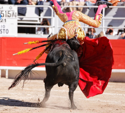 Emilio de Justo, 21  de Abril de 2025 Arles Primero Jandilla 2 orejas cornada ciega.jpeg