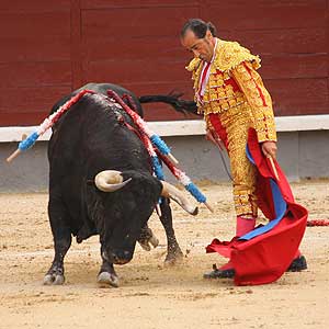 Luis Francisco Esplá en el ruedo.jpg