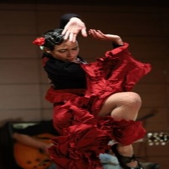 Espectáculo flamenco Tierra Mestiza MadridGratis.jpg