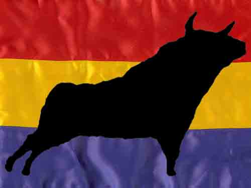Bandera Republica Toro.jpg