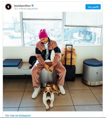 Lewis Hamilton con su perra coconut en instagram.JPG
