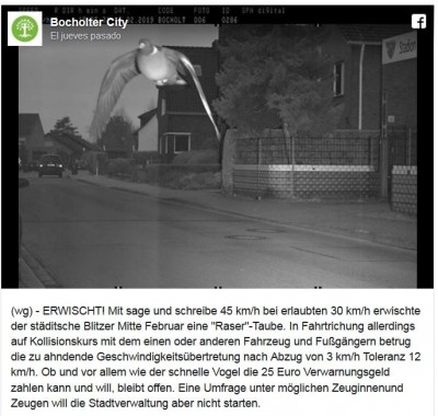 Multa paloma exceso velocidad alemania.JPG