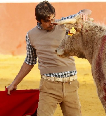 el toro tiene que imponer dar miedo asustar.jpg