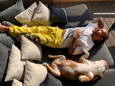 Lewis Hamilton tumbona lujo perro.jpg