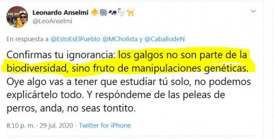 Anselmi galgos biodiversidad.JPG