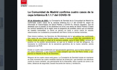 coronavirus cepa reino unido gran bretaña.jpg