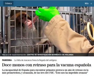 vacuna española monos.JPG