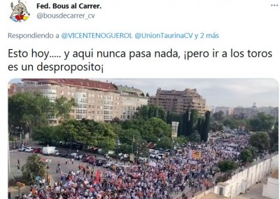bous al carrer aglomeraciones y aforos en los toros.JPG