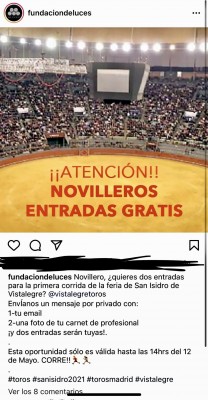 fundación de luces.jpg