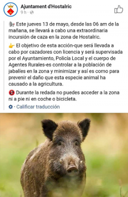 hostalric caza jabalíes prohibición.png