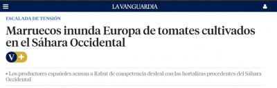 Sahara occidental tomates marruecos.JPG