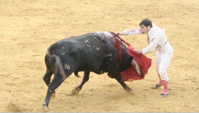 Arenero el toro Javier Herrero la estocada.JPG