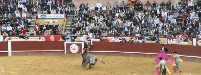 un baderillero dentro del peligro y corren a ayudarle.JPG