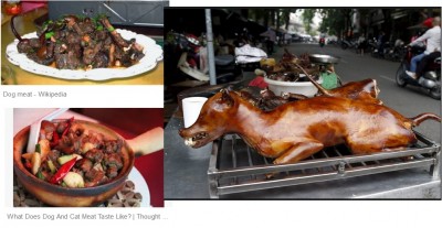 Dia Mundial del Perro Recetas carne de perro.jpg