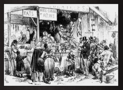 Mercado de carne de perro de gato y de rata Ratas delibes.PNG