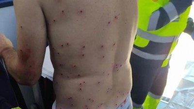 Ciclista cazador conejo perdigon.jpg