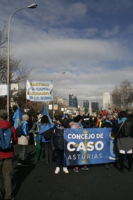 Concejo de Caso de Asturias en Madrid.jpg