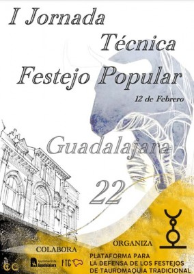 guadalajara festejo popular.jpg