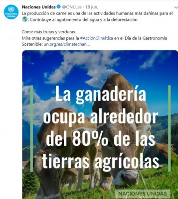 ONU contra consumo de carne.JPG