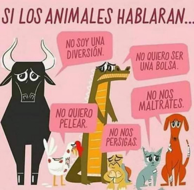 Si los animales hablaran.jpg