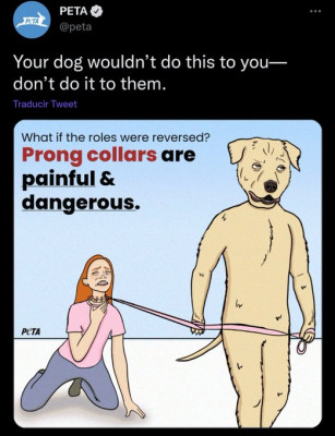 Animalista correa collar perro.jpg