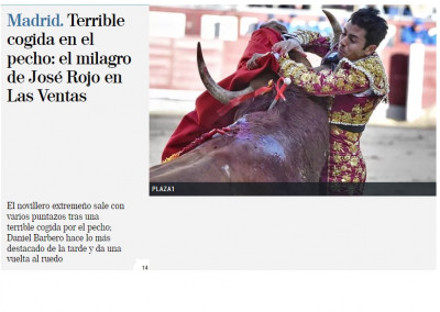 Jose Rojo novillero cogida las ventas.jpg