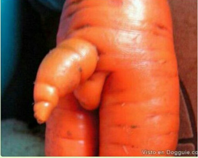 1 Semana Santa abstinencia.jpg