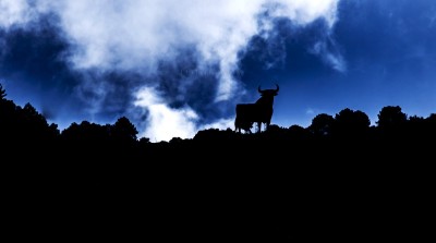 27 JUN Toro de osborne.jpg