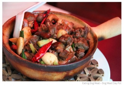 Receta carne de perro 2.JPG