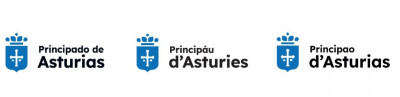Identidad Digital Asturias.jpg
