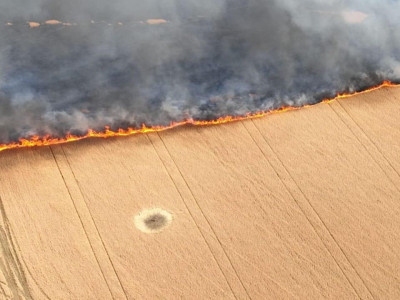 8 jul campos de trigo ucranios incendiados por Rusia.jpg