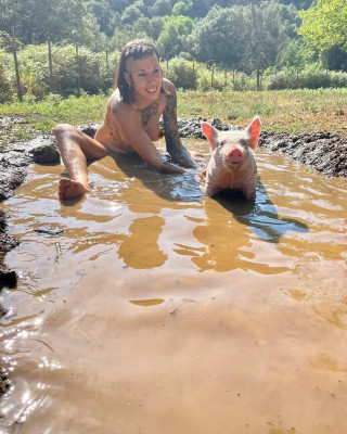 animalistas bañar cerdo desnuda.jpg
